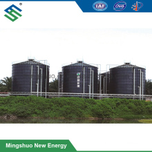 Anaerobic Biodigester for Biogas Plant Palm Oil Mill